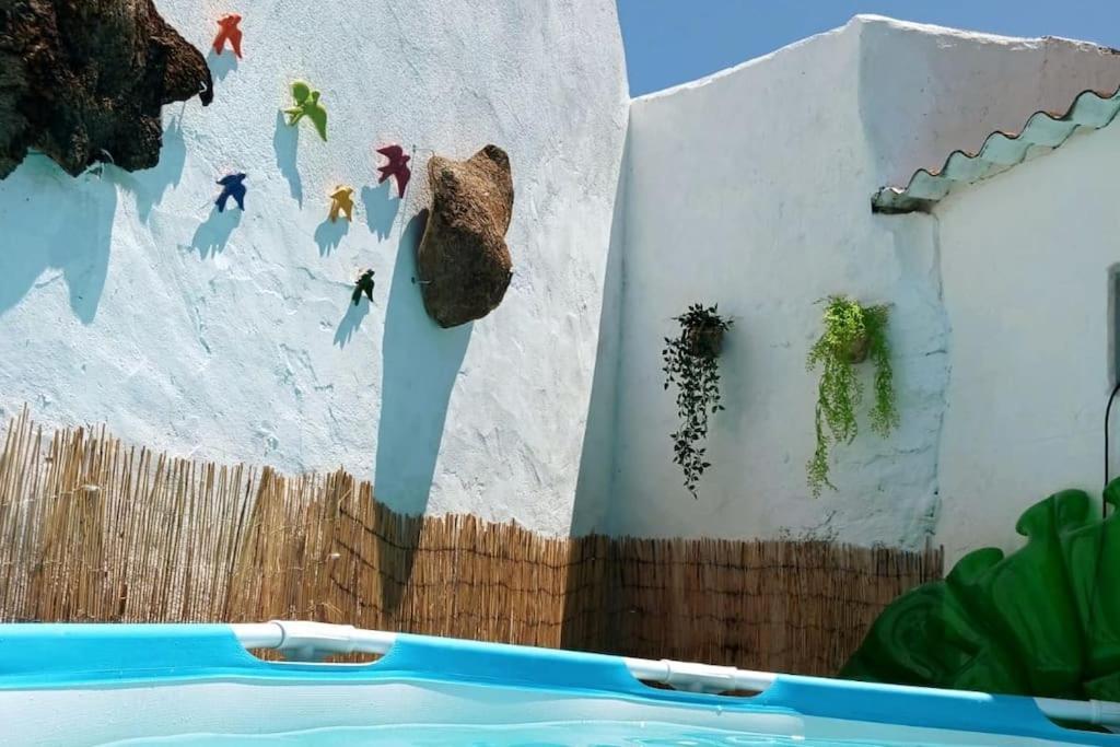 Villa A Casa Do Barqueiro- Alentejo Pedrogao  Exterior foto